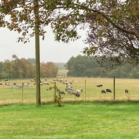 Hyrdeskolen Habitación en casa particular Give
