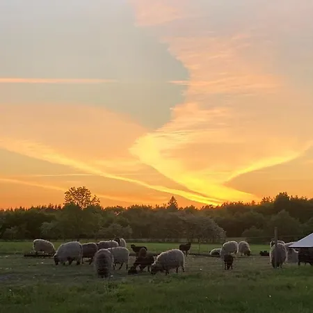 Hyrdeskolen Homestay szállás *
